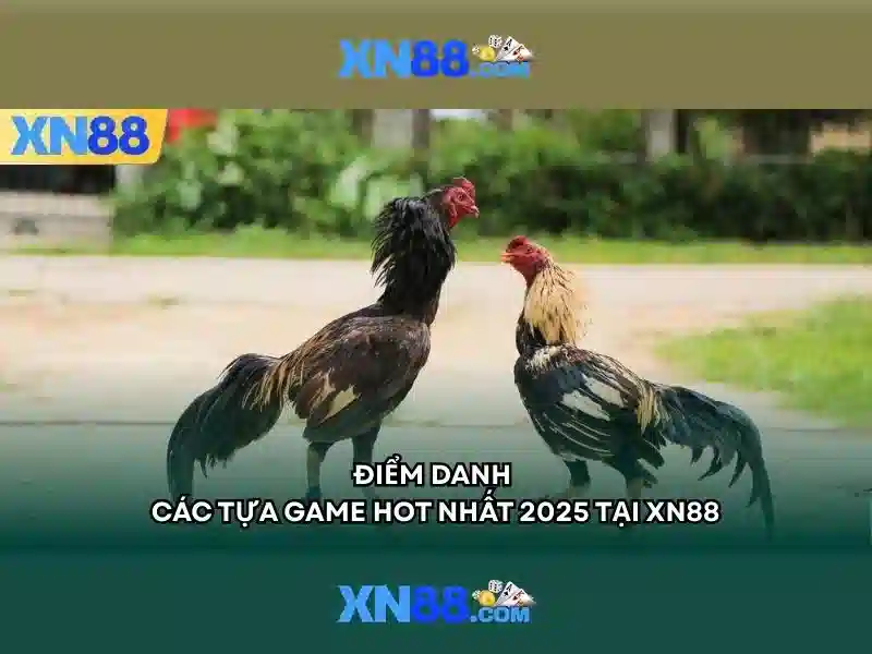 Giới Thiệu XN88