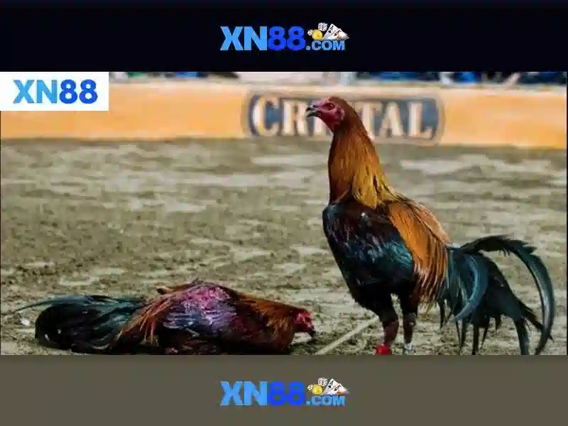 kinh nghiệm XN88: Bí Quyết Tối Ưu Hóa Cơ Hội Thắng