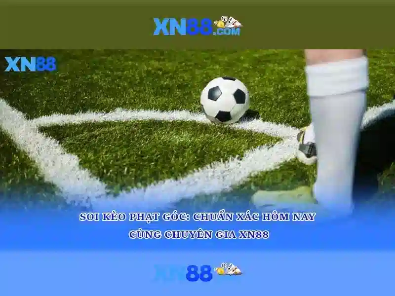 Miễn Trừ Trách Nhiệm XN88
