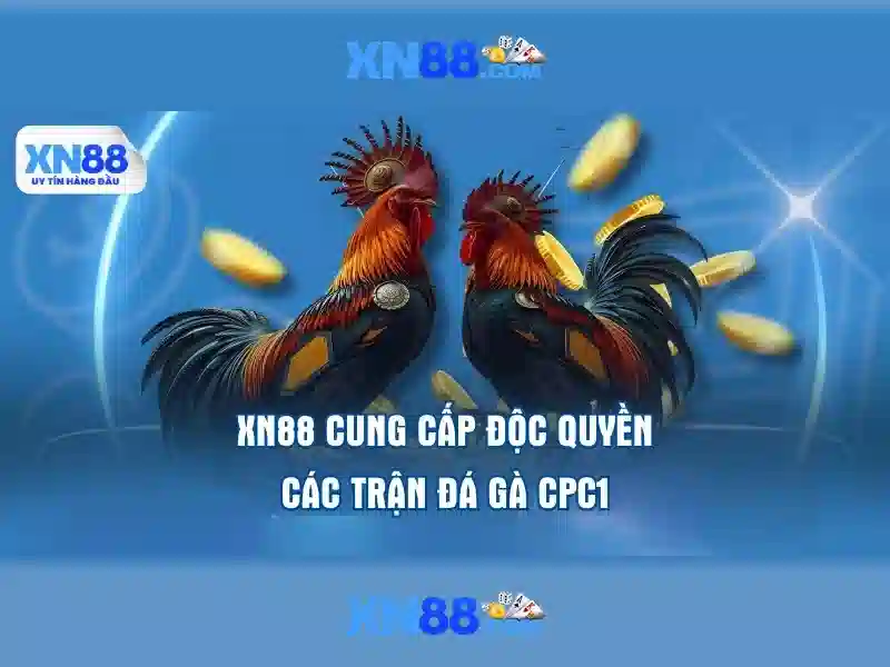 app xn88