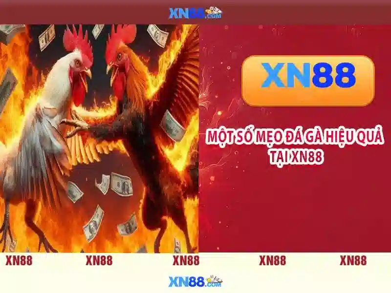 XN88 – Sitemap Index – Sitemap XML – Sitemap Generator 2026