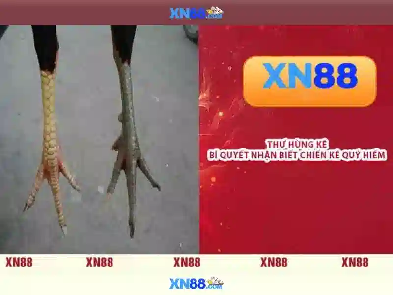 Đa dạng trò chơi slot