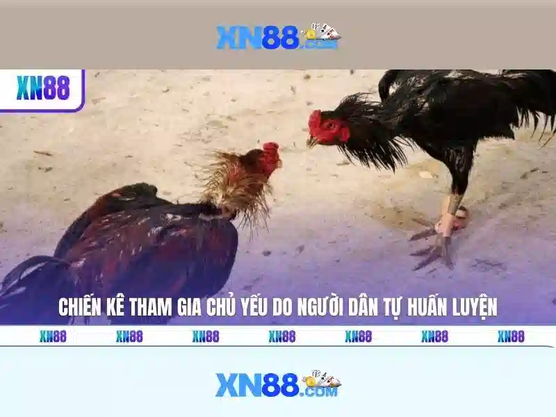 Trải nghiệm slot