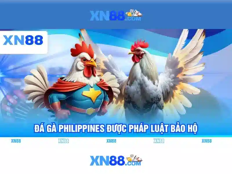 XN88 - Trải Nghiệm Game XN88 Thú Vị, Nhận Thưởng Hấp Dẫn 2026