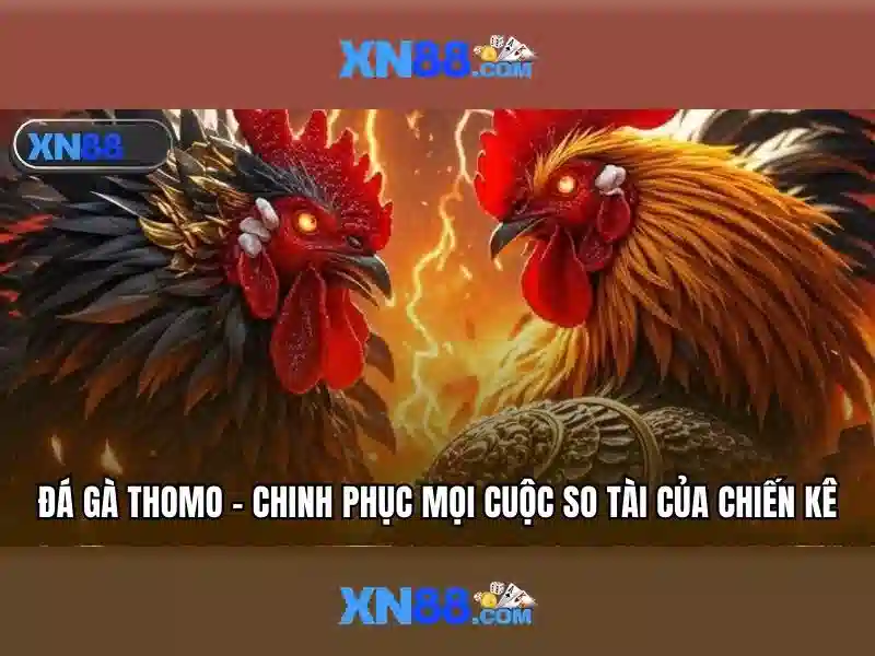 Khuyến Mãi XN88 App