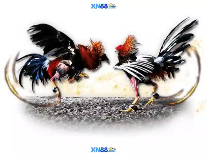 Khám Phá XN88 Casino
