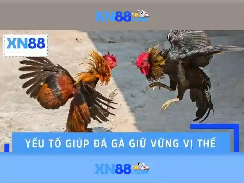 Hướng Dẫn Đăng Ký Tài Khoản XN88