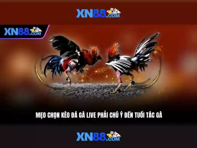 Ưu Đãi Đăng Ký XN88