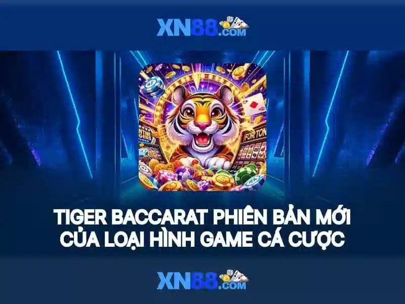 Giới Thiệu Về XN88