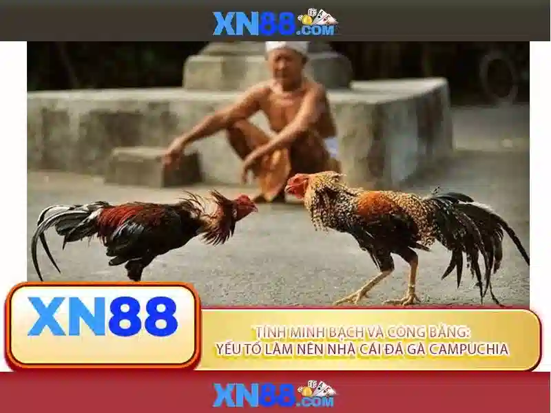 XN88 – Link Đăng Nhập Chính Thức Cho Người Chơi Slot 2026