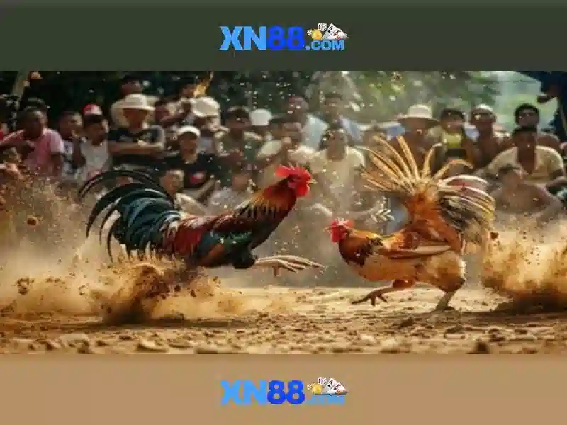 XN88 chính thức không bị chặn 2026