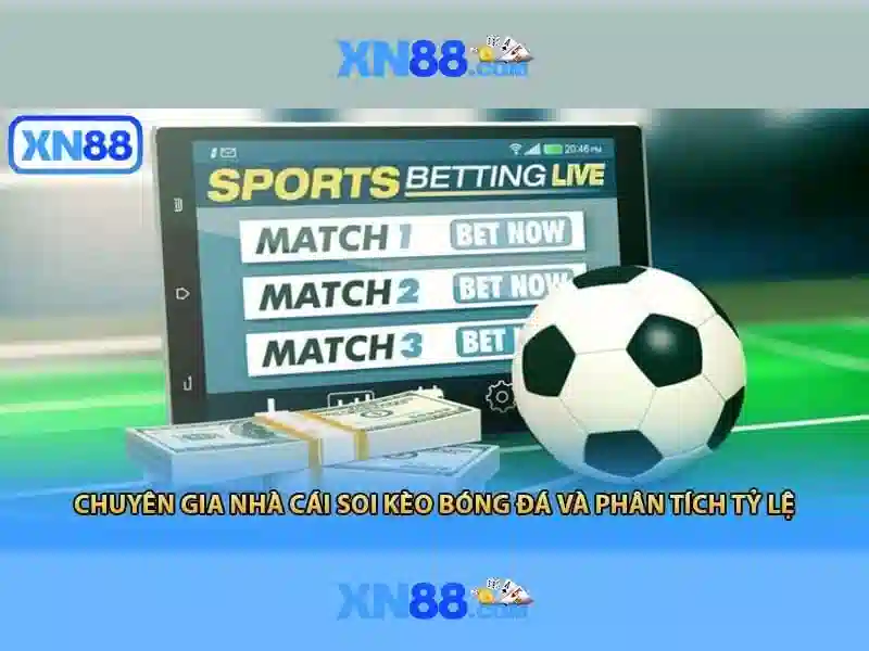 Tại Sao Nên Chọn XN88