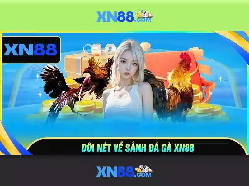 Khuyến Mãi Đặc Biệt Cho Người Chơi XN88
