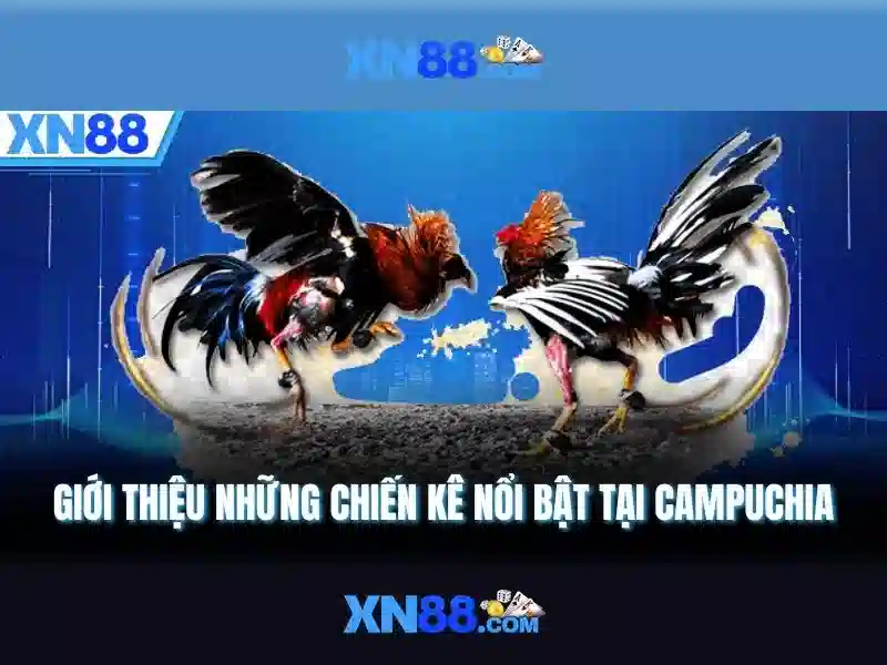 Trải Nghiệm Chơi Slot Tối Ưu