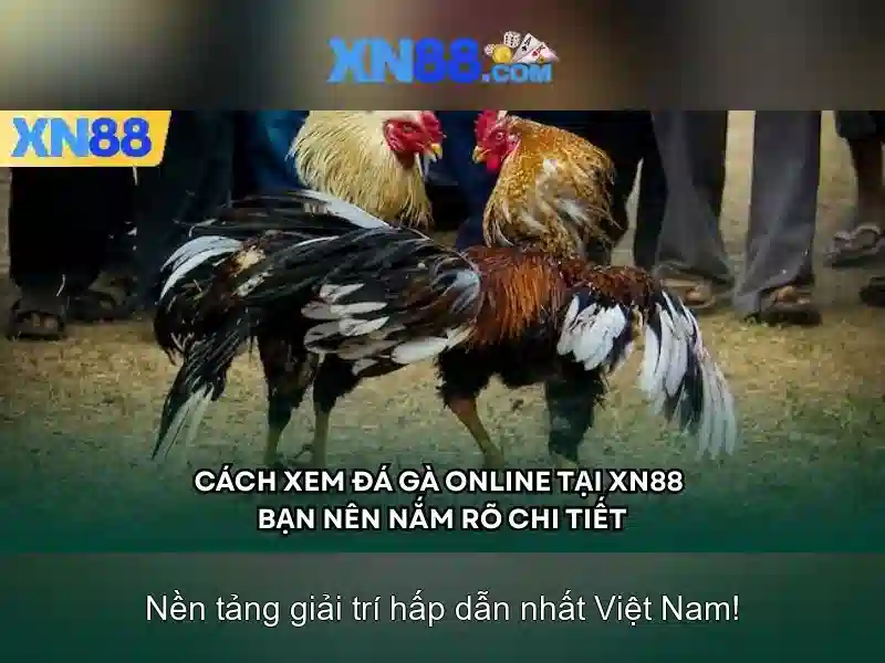 Trải Nghiệm Slot Đỉnh Cao Với XN88 Bshrf