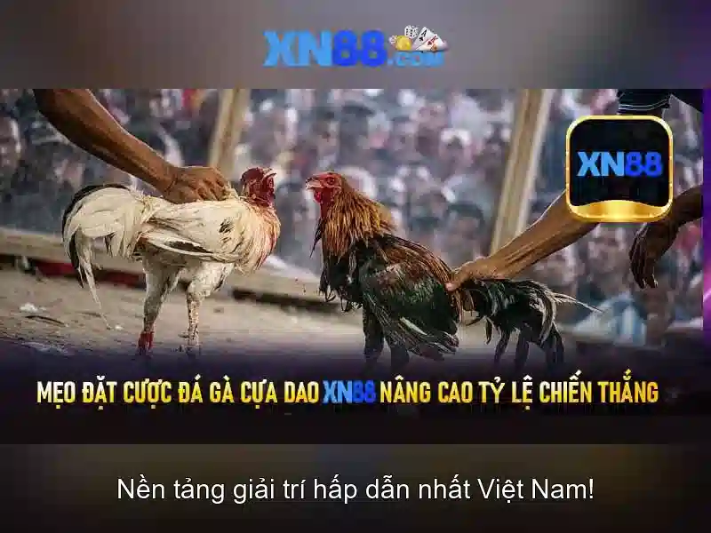 XN88 Gaming – Trải Nghiệm Slot Đỉnh Cao