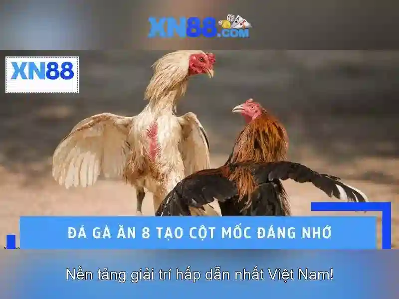 Trải nghiệm game slot XN88