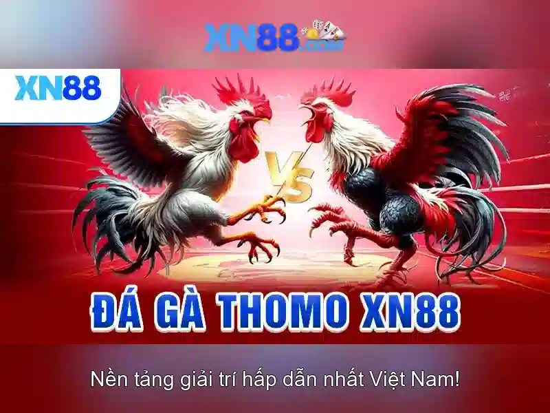Trải nghiệm SLOT đỉnh cao