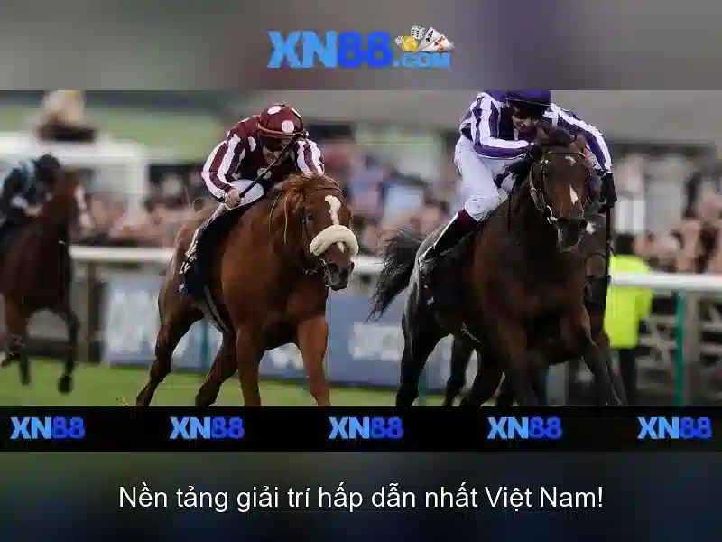 Điều Khoản Sử Dụng Của XN88