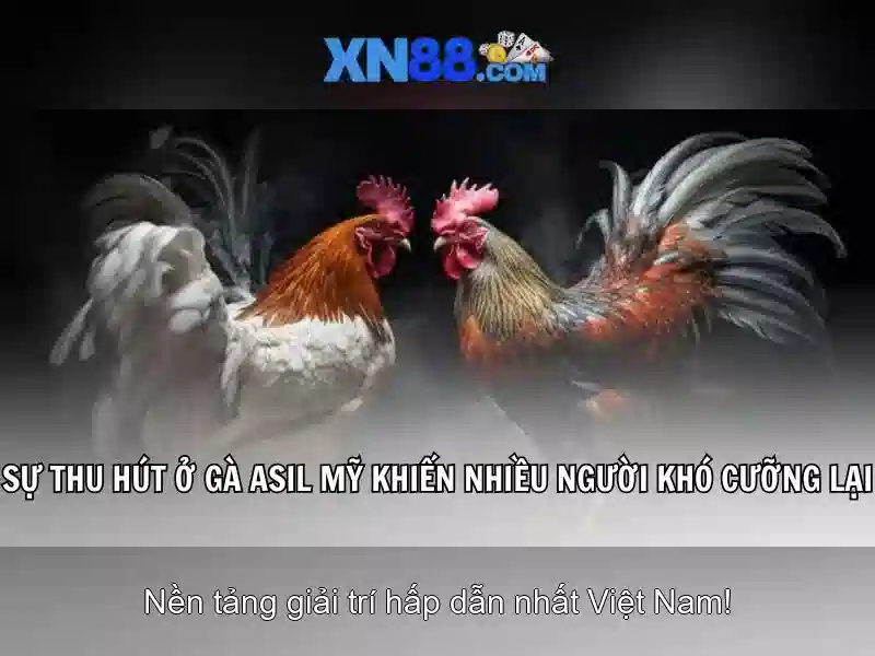 Đăng Ký XN88