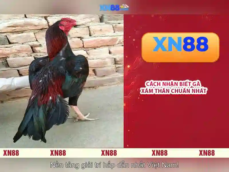 Trò Chơi Slot Đa Dạng