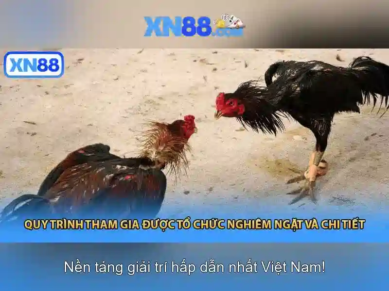 Hướng Dẫn Đăng Ký XN88 Link