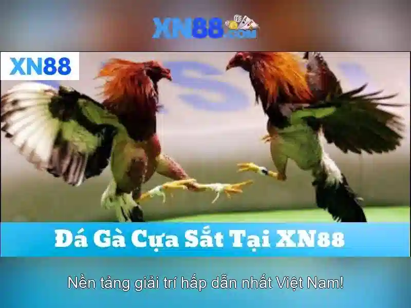 Hướng Dẫn Chơi Slot