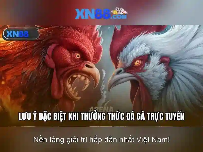 XN88 – Trải Nghiệm Slot Đỉnh Cao