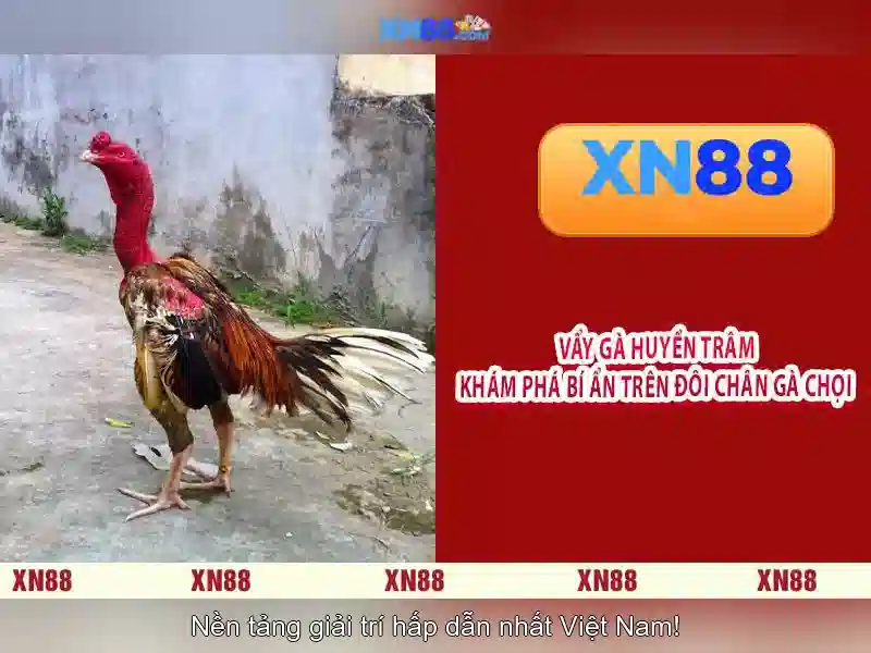Hướng Dẫn Chơi Slot Tại XN88